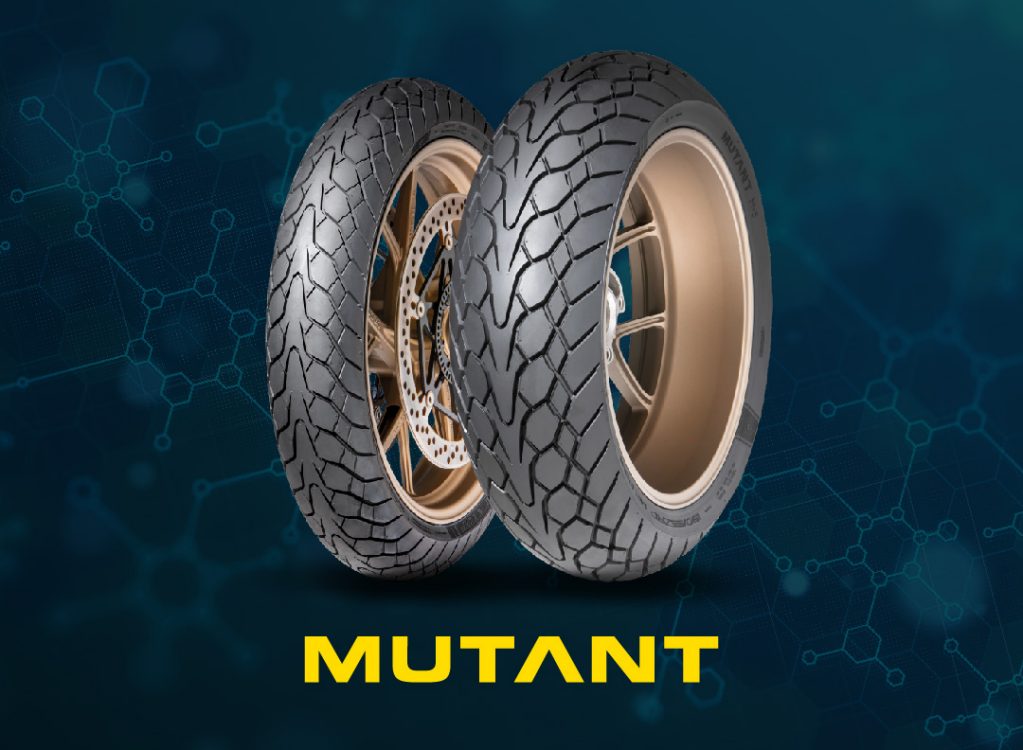 dunlop supermoto tires