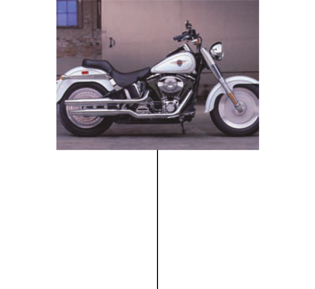 MU85B tyres on Harley-Davidson FL