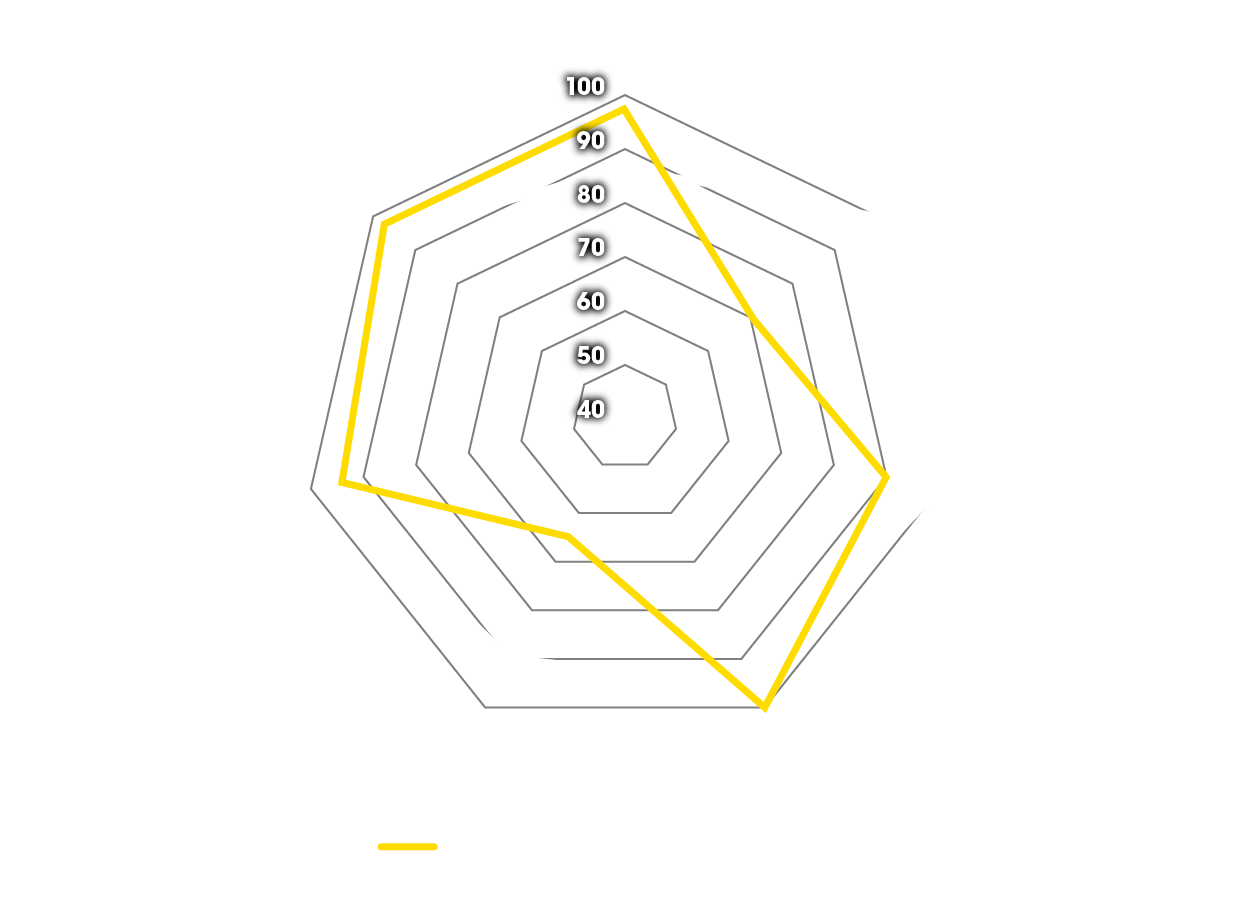 Spinnendiagramm der Vorteile von Dunlop Sport- & Tourenreifen auf der BMW GS