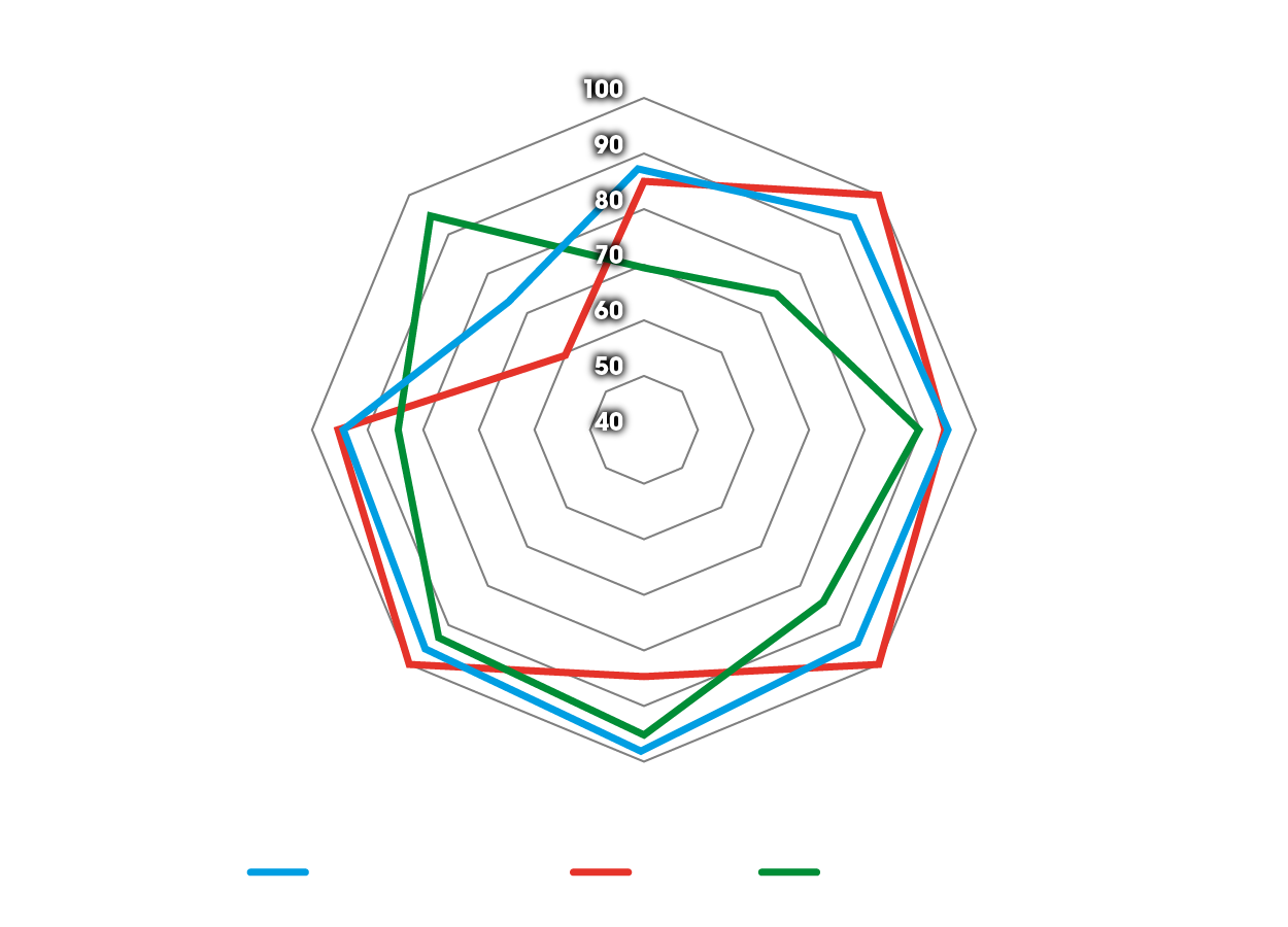 Spinnendiagramm der Vorteile von Dunlop-Trailreifen auf der BMW GS