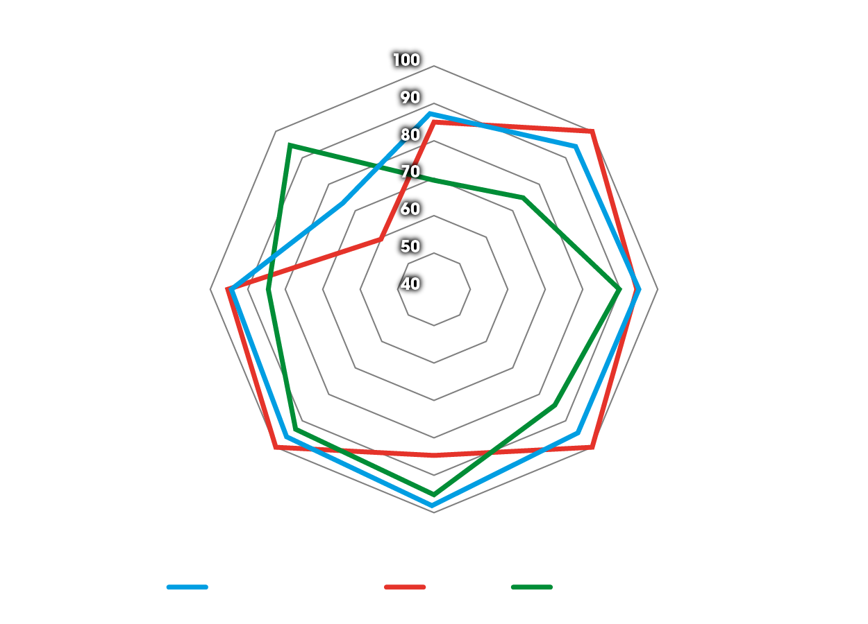 Diagramma Spider dei vantaggi per gli pneumatici da pista Dunlop sulla BMW GS