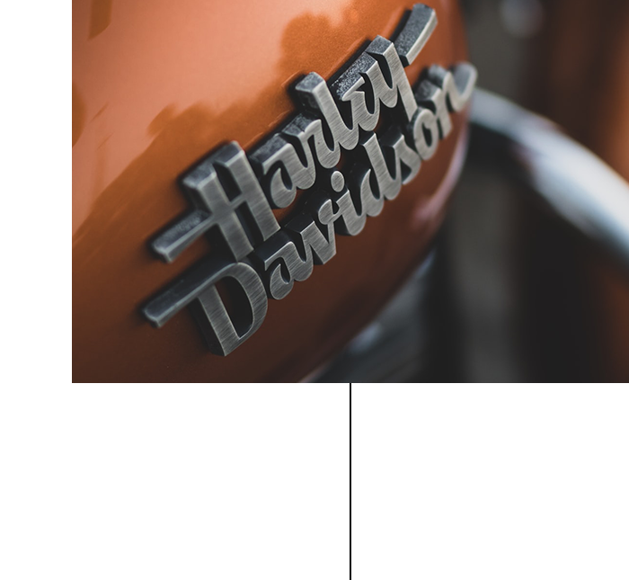Close-up of the Harley-Davidson logo on bike tank