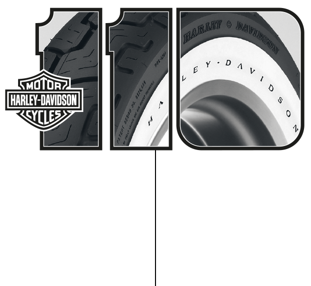 Harley-Davidson 110 year anniversary logo