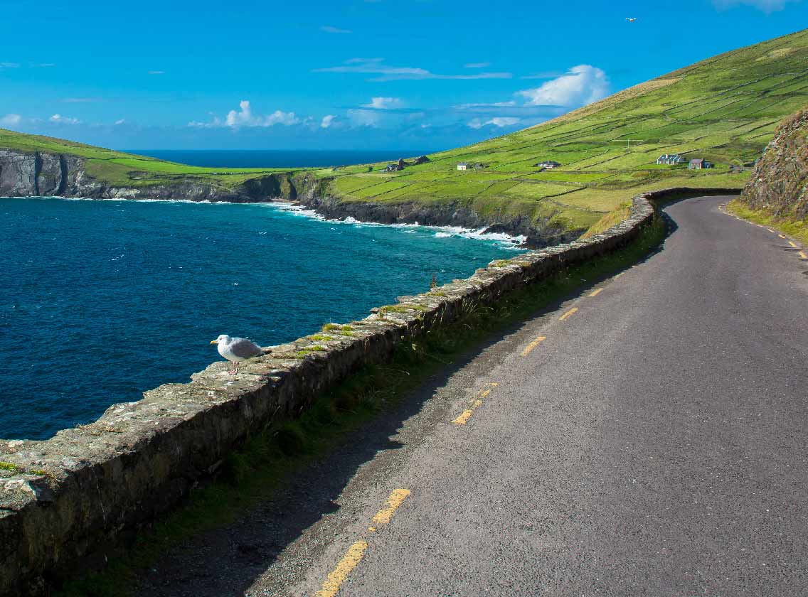 Enkelbaans kustweg bij Slea Head in Ierland